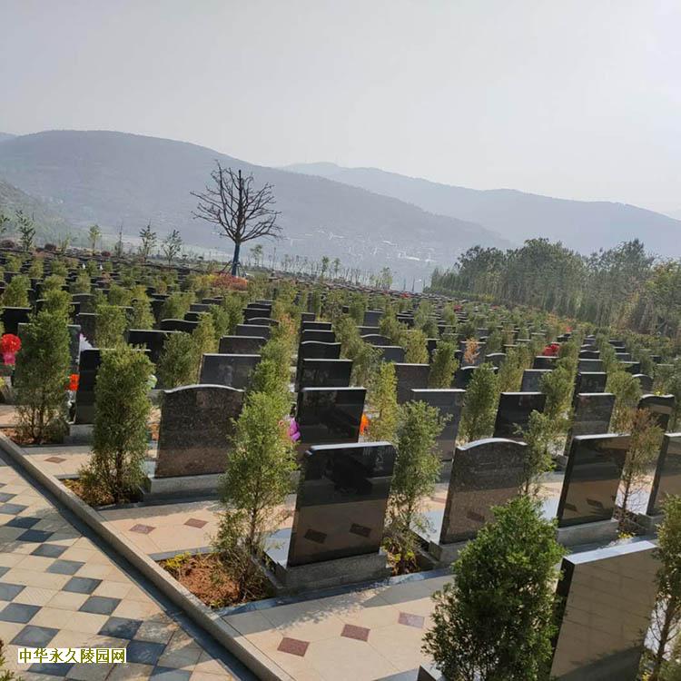 想要去九宫山长城纪念林购买墓地怎么去？